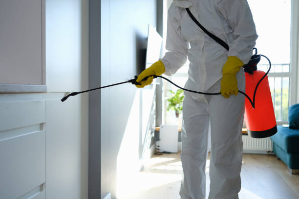 Best Professional Mold Removal  in Weedpatch, CA