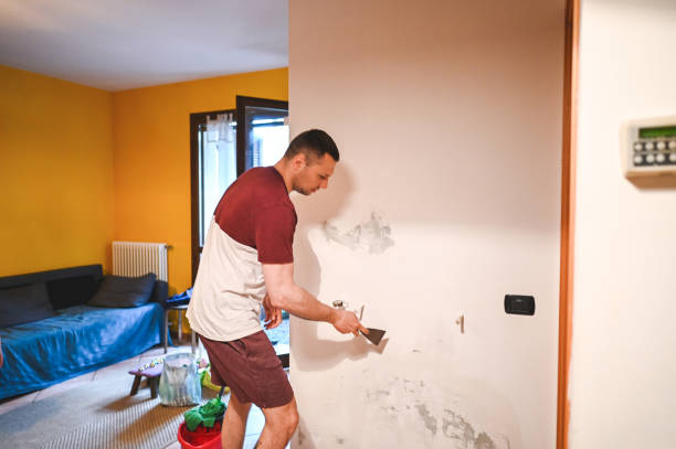 Best Toxic Mold Removal  in Weedpatch, CA